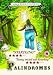 Palindromes [2004] [DVD] [Edizione: Regno Unito]