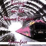Living On the Venus Express
