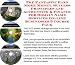 The Fantastic Earn More Money, Success Principles and Accounting & Finance for Domain Name Services On-line Businesses 3 Course Pack