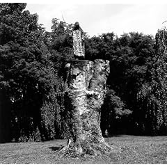The Purification of Fagus Sylvatica Var Pendula