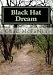 Black Hat Dream: a guide to making money online with cost per action and black hat techniques