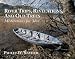 River Trips, Revelations, and Old Trees: Meditations for Men