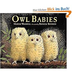 Owl Babies