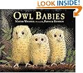 Owl Babies