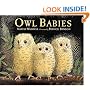 Owl Babies