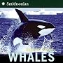 Whales