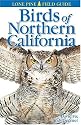 Birds of Northern California