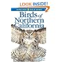 Birds of Northern California