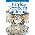 The Sibley Field Guide To Birds Of Western 2 The Sibley Field Guide To Birds Of Western 2