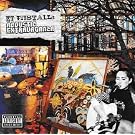 K.T. Tunstall's Acoustic Extravaganza [CD + DVD]