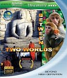 Wild Asia: Between Two Worlds [Blu-ray]