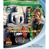 Wild Asia: Between Two Worlds [Blu-ray]