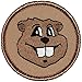 Gopher Patrol Patch - 2