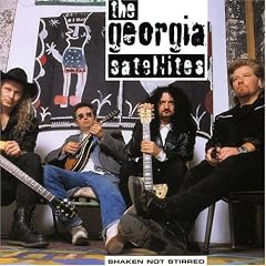 Shaken Not Stirred by  Georgia Satellites 