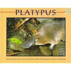 Platypus (Mondo Animals)