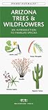  : Arizona Trees & Wildflowers: An Introduction to Familiar Species (Pocket Naturalist)