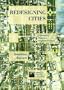 Redesigning Cities: Principles, Practice, Implementation