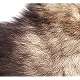 T-explorer 2014 New Arrival Large Fetish Fantasy Soft Wild Fox Tail Metal Steel Anal Plug Butt for Women Adult Toy