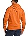 Champion Men's Powertrain Tech Fleece Pullover Hood