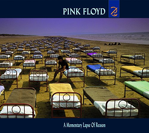 Album Art for A Momentary Lapse of Reason by Pink Floyd