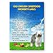 Old English Sheepdog Property Laws Fridge Magnet