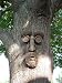 Shademaster Tree Face