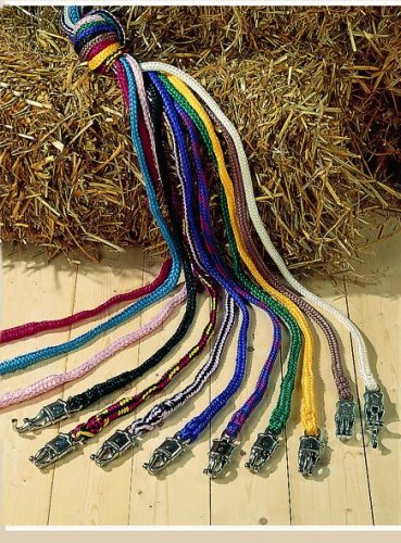 Anbinder mit Panikhaken