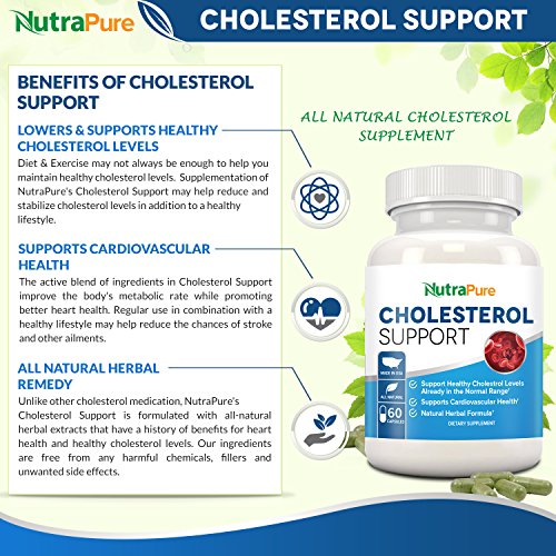 Best Cholesterol Lowering Supplement All Natural Cholesterol Support