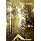 Le meilleur des livres de fantasy jeunesse
