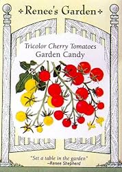 Tomatoes Tricolor Cherry Garden Candy Seeds 90 Seeds