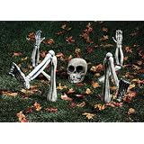 Ground Breaker Light Skeleton