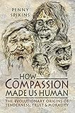 How compassion made us human : the evolutionary origins of tenderness, trust and morality