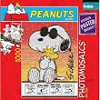 Peanuts Photomosaics Joe Cool Jigsaw Puzzle 1000pc
