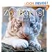 ZooBorns!: Zoo Babies from Around the World