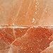 Mogulesque Himalayan Salt Plate -- All-Natural Gourmet Cooking Tile (12