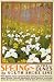 SPRING IN THE DUNES FLOWERS BY SOUTH SHORE LINE CHICAGO ILLINOIS VINTAGE POSTER REPRO