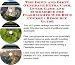 Book The Down and Dirty Generate Extra Cash, Inner Game and eCommerce for Flashlights Web Biz 3 Course + Resource Guide