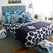 Amy Butler Dream Daily Twin Duvet Cover - 100% Organic 300 Thread Count