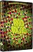 Newsroom Media Bad Ideas Snowboard Dvd