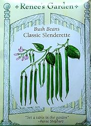 Bush Beans Classic Slenderette Seeds