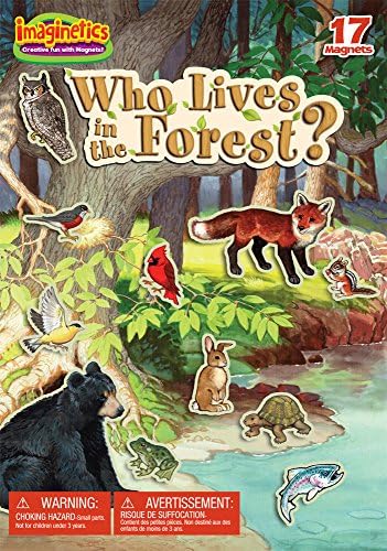 Imaginetics Who Lives in The Forest? Play Board