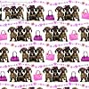 Dachshunds Gift Wrap "Here Come the Girls" 2 Sheets & 2 Tags