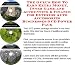 Book The Guru's How To Earn Extra Money, Inner Game and Accounting & Finance for Exterior Auto Accessories Businesses 3 CD Power Pack