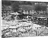 Canvas Prints of Drying cloth in Kashgar, western China from Mary Evans