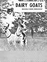 Dairy Goats Breeding Feeding Management