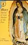 Mary: Mother of God, Mother of the Poor (Theology and Liberation Series)