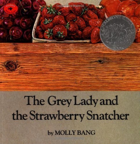 The Grey Lady and the Strawberry Snatcher by Bang, Molly published by Aladdin (1996)