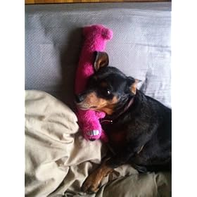 Loofa Dog Plush Dog Toy (Colors May Vary)