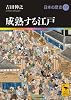 成熟する江戸 日本の歴史17 (講談社学術文庫)