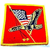 American Flag Patch~Eagle Patch~Bald Eagle and The American Flag [Apparel]